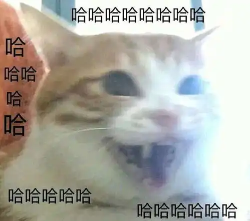 沙雕表情包l你也没有人要吗
