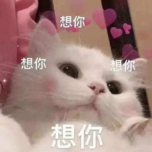 这波猫猫表情包你值得拥有
