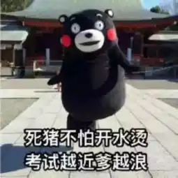 期末考试复习攻略,学霸新技能get
