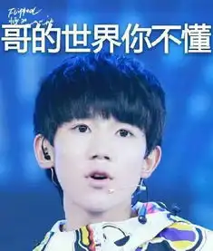 tfboys的表情包带字的图片有哪些
