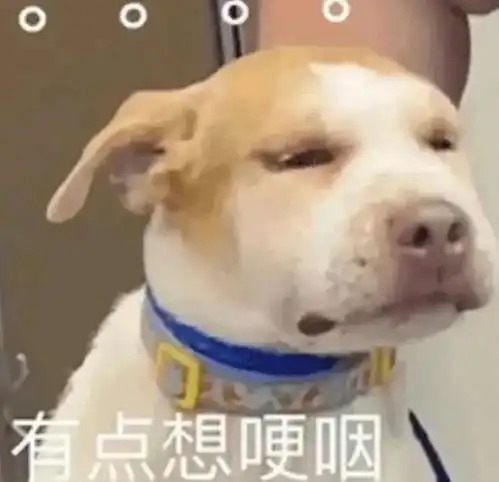 怎么开保时捷上班的人也在消费降级潮牌打车跑车星巴克电动车军工企业网易订阅

