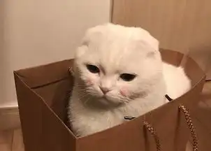 有男朋友最大的用处是什么
