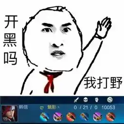 开黑吗,我打野韩信021021打野开黑韩信表情
