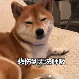 单身汪专属表情包,单身怪我咯,狗悲伤到无法呼吸
