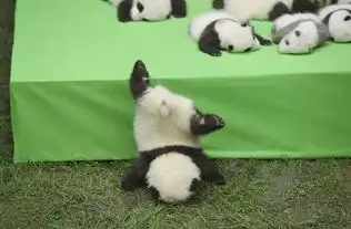 现在流行熊猫瘫,你还不会就out了熊猫宝宝
