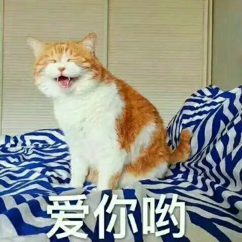 想要买一只mac口红求推荐
