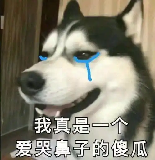 王俊凯值不值得喜欢
