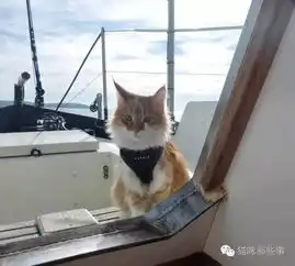 这是什么神仙人猫情啊猫咪帮他倾听世界的声音
