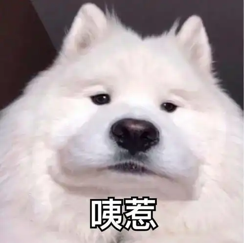 凌晨2点,我还在改第八稿排版配色...