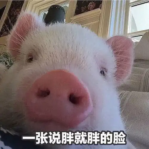看图这大概就是放假的意义吧
