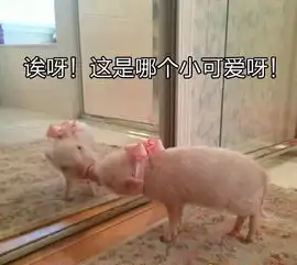 2017年最热表情包盘点,现在保存还来得及
