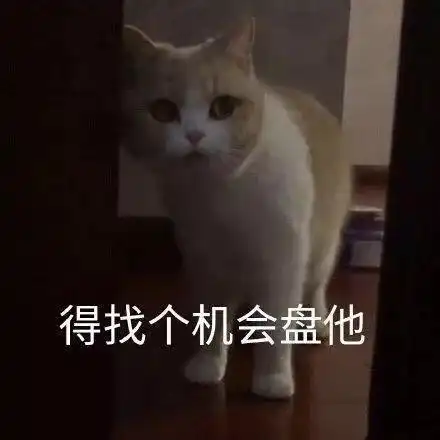 表情包你以前不是这样的
