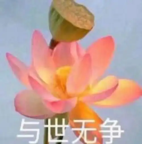 人生中不争就是慈悲,不辩就是智慧,不闻就是清净...
