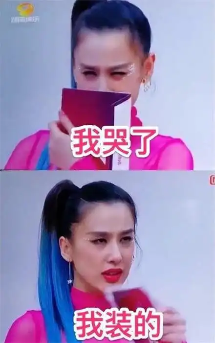 乘风破浪的姐姐搞笑表情包
