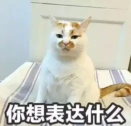 深陷僵橘,一只橘猫的废土美食之旅
