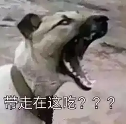 没错这就是你和食堂阿姨每天的生活日常
