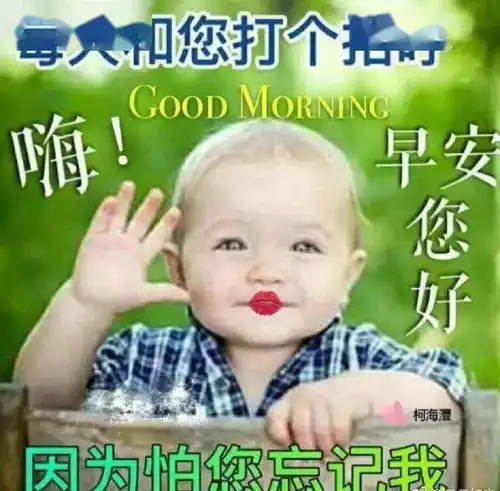 早上好的最新问候祝福语早上最棒的表情图片祝福语
