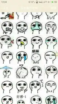 qq这种小表情什么名字