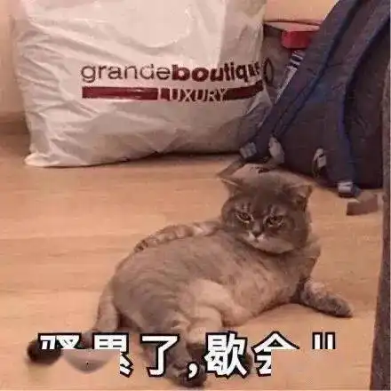 20个抖音近期超火表情丨天冷了可以帮你暖床吗
