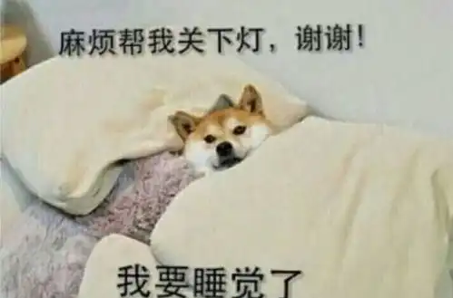 中考和高考,学生要不要午睡午睡的正确打开方式要知晓

