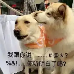 锤爷大料
