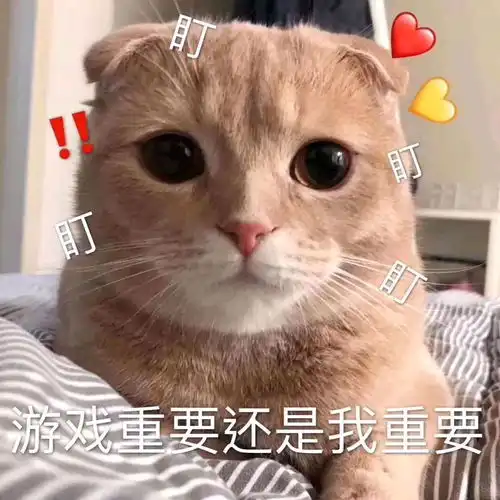 哔哩哔哩专栏
