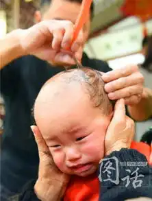 二月二龙抬头剃胎发被宝宝们的表情包萌翻图
