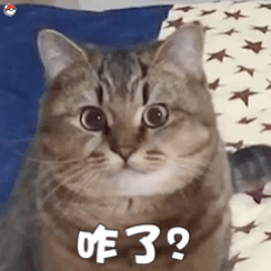 表情包真的不能再吃了
