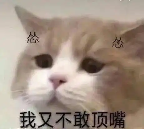 抖音最火表情包合集,每个都很赞

