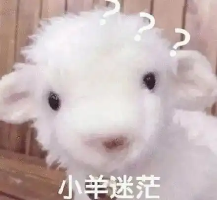 小猪日记
