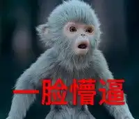 张小凡专属萌宠小灰表情包好不好使用技巧zol软件百科
