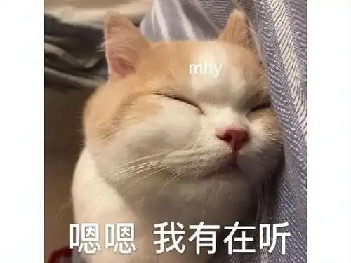 疯狂的原神玩家,在线点餐的必胜客服务器被挤爆,客服崩溃了
