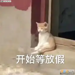 开始等放假图片你比美团还能送表情包图片下载乐游网游戏下载
