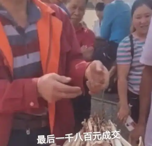 男子提鸡枞菇溜达遭围堵,路人价格出到1600元,男子表情仍不满意

