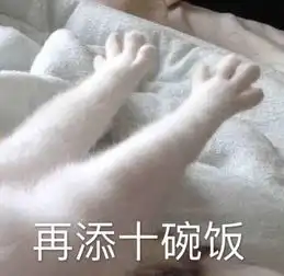 近期热门无水印表情包
