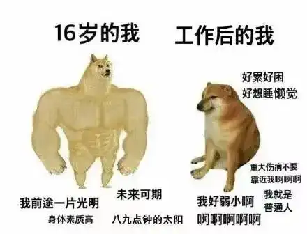 60万年轻人,抢着当小狗
