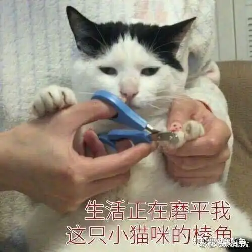小心星期二和十月
