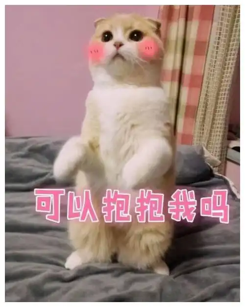 搞笑段子那天60岁的奶奶买了件旗袍,自己十分满意

