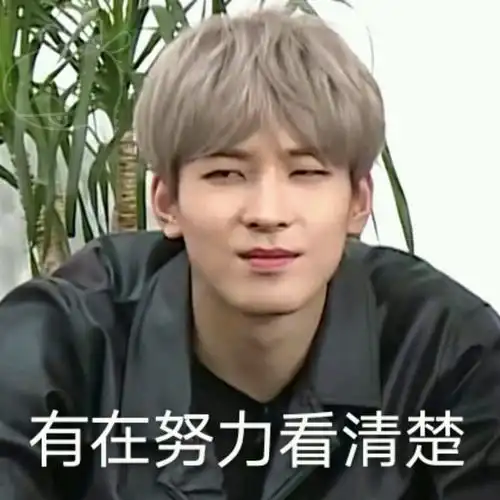 seventeen表情包合集96line,这回是真的96line
