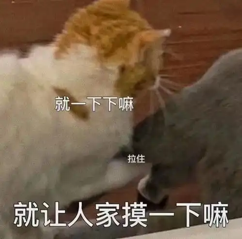 适合情侣之间互相发的表情包
