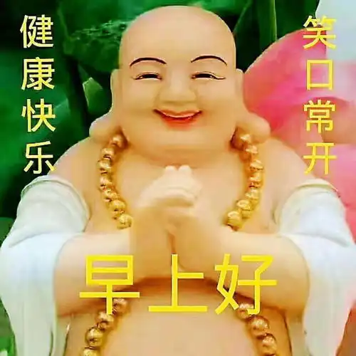 中老年表情包早上好,送你一朵玫瑰花
