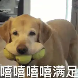 你戴的最久的一块表
