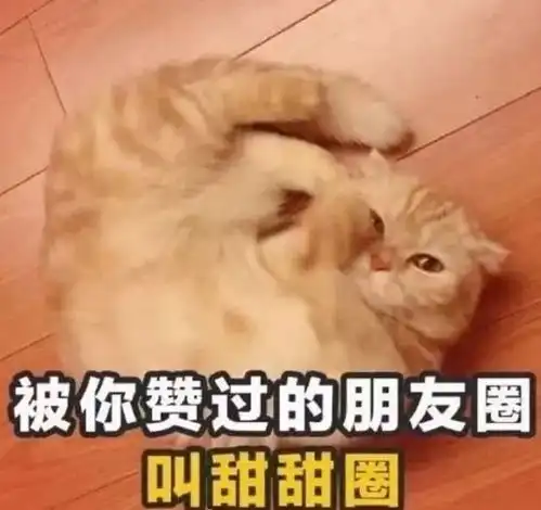世界杯土味情话爆红,或许你也迷上了c罗
