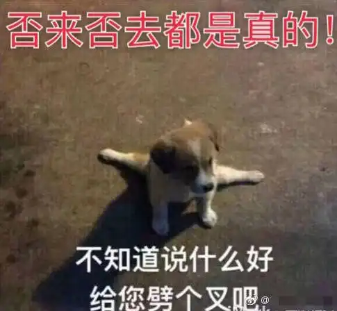 有个疑问,土丽粉是不是给洗地的事情除了粉圈都这...
