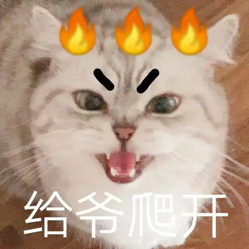小猫咪凶巴巴表情包我不是你最爱的小猫咪了吗
