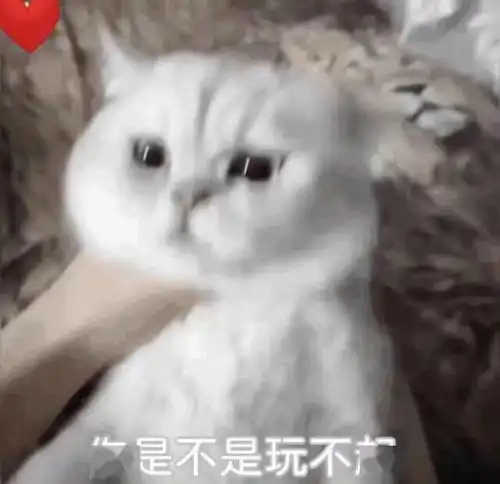 7月托福gre线下机考有望部分恢复不要高兴得太早哦
