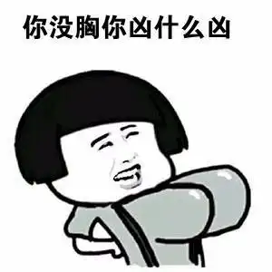 你没胸凶什么凶的表情包
