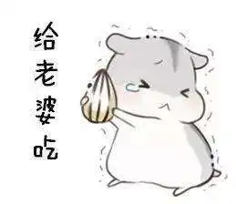 抖音小仓鼠高清无水印表情包合集超萌
