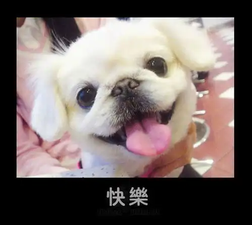 疑惑的表情
