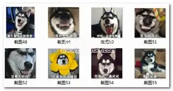 二哈那你很棒棒哦表情包二哈那你很棒棒哦图片大全最新版软件下载
